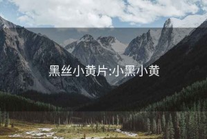 黑丝小黄片:小黑小黄