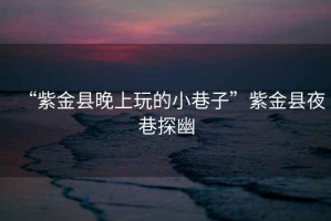 “紫金县晚上玩的小巷子”紫金县夜巷探幽