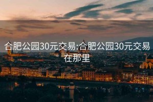 合肥公园30元交易:合肥公园30元交易在那里