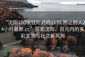 “沈阳100块钱附近约1130.附近的人24小时最新.cc”探索沈阳，百元内的多彩生活与社交新风尚