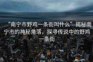 “南宁市野鸡一条街叫什么”揭秘南宁市的神秘角落，探寻传说中的野鸡一条街