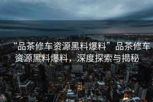 “品茶修车资源黑料爆料”品茶修车资源黑料爆料，深度探索与揭秘