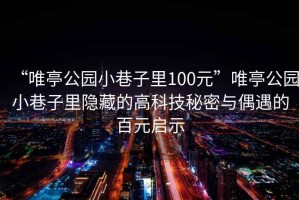 “唯亭公园小巷子里100元”唯亭公园小巷子里隐藏的高科技秘密与偶遇的百元启示