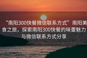 “南阳300快餐微信联系方式”南阳美食之旅，探索南阳300快餐的味蕾魅力与微信联系方式分享