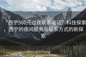 “西宁500元过夜联系电话”科技探索，西宁的夜间服务与联系方式的新探索