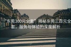 “东莞300元全套”揭秘东莞三百元全套，服务与体验的深度解析