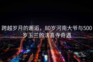 跨越岁月的邂逅，80岁河南大爷与500岁玉兰的法喜寺奇遇