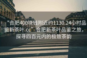 “合肥400块钱附近约1130.24小时品鉴新茶叶.cc”合肥新茶叶品鉴之旅，探寻四百元内的极致茶韵