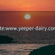 site:www.yeeper-dairy.com: