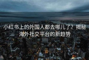 小红书上的外国人都去哪儿了？揭秘海外社交平台的新趋势