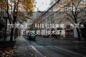 “东莞水汇”科技引领未来，东莞水汇的水处理技术革新