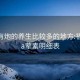 福州有炮的养生比较多的地方:福州spa荤素明细表