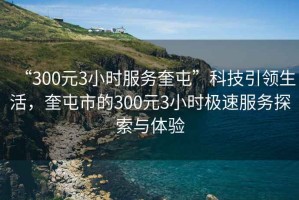 “300元3小时服务奎屯”科技引领生活，奎屯市的300元3小时极速服务探索与体验