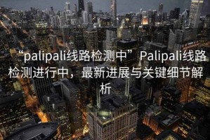 “palipali线路检测中”Palipali线路检测进行中，最新进展与关键细节解析