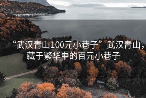 “武汉青山100元小巷子”武汉青山，藏于繁华中的百元小巷子