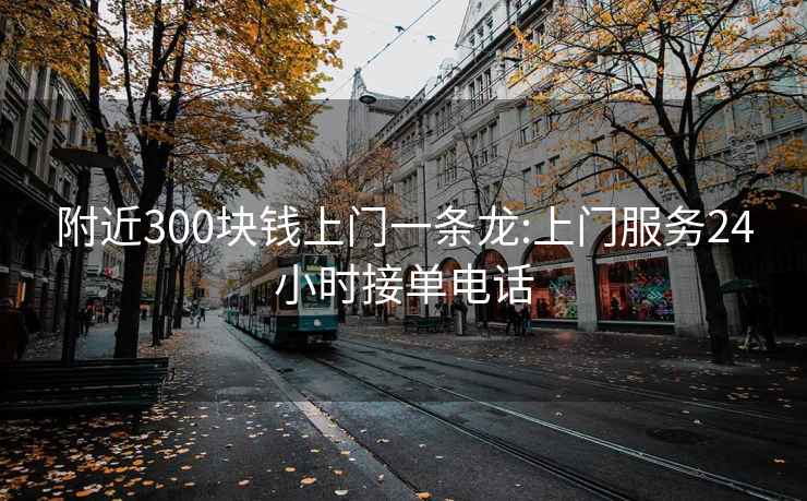 附近300块钱上门一条龙:上门服务24小时接单电话