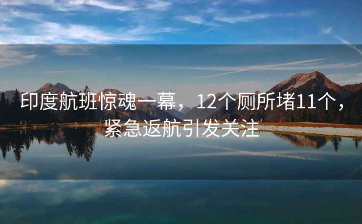 印度航班惊魂一幕，12个厕所堵11个，紧急返航引发关注