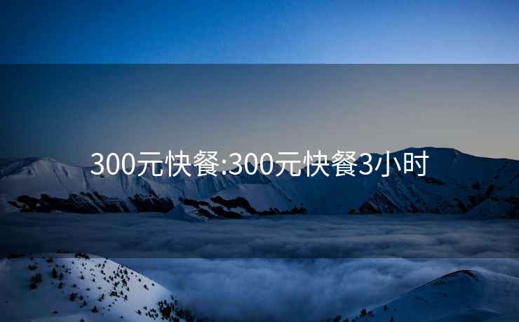 300元快餐:300元快餐3小时