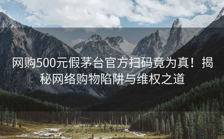 网购500元假茅台官方扫码竟为真！揭秘网络购物陷阱与维权之道