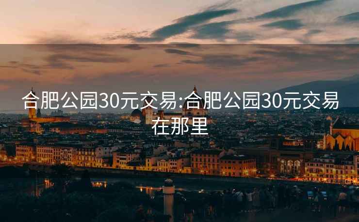 合肥公园30元交易:合肥公园30元交易在那里