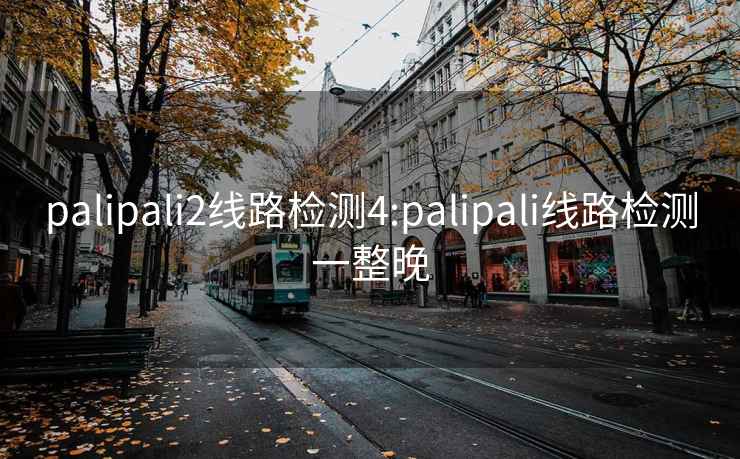 palipali2线路检测4:palipali线路检测一整晚