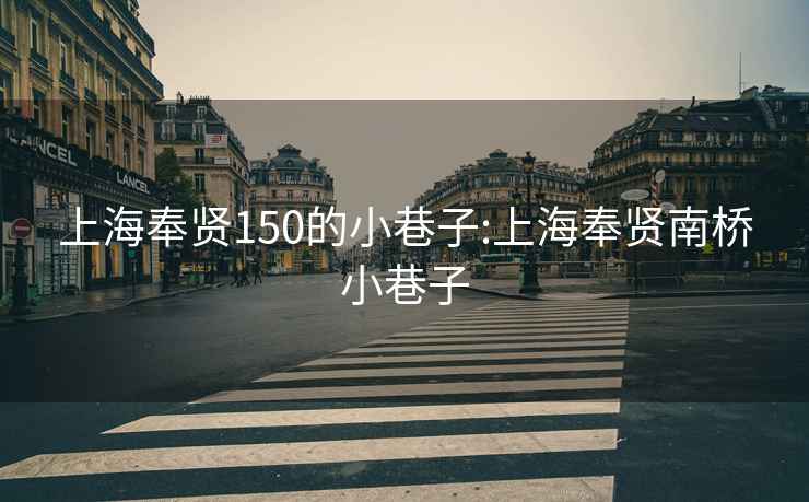 上海奉贤150的小巷子:上海奉贤南桥小巷子