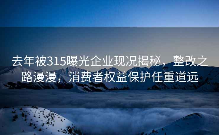 去年被315曝光企业现况揭秘，整改之路漫漫，消费者权益保护任重道远