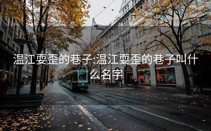 温江耍歪的巷子:温江耍歪的巷子叫什么名字