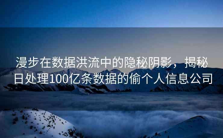 漫步在数据洪流中的隐秘阴影，揭秘日处理100亿条数据的偷个人信息公司