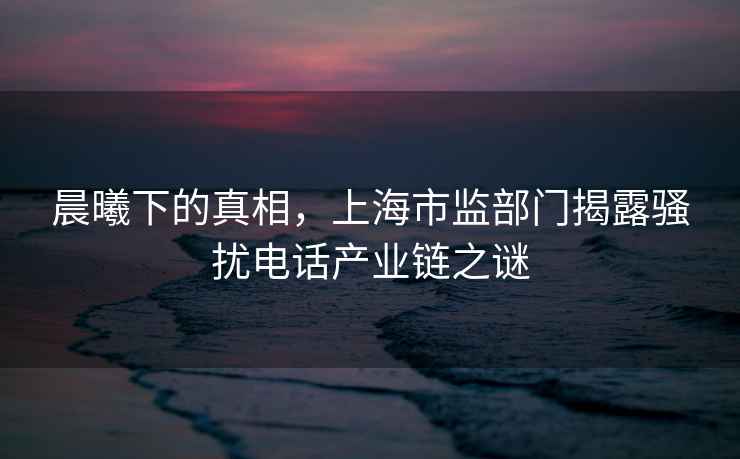 晨曦下的真相，上海市监部门揭露骚扰电话产业链之谜