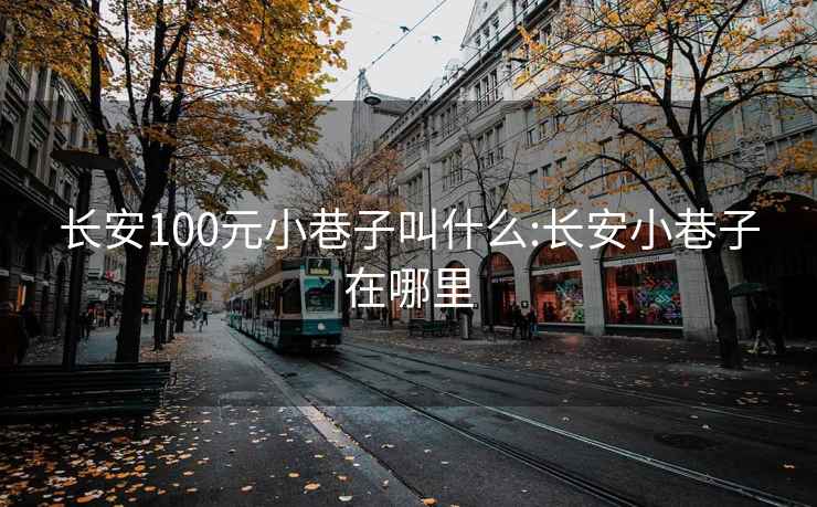 长安100元小巷子叫什么:长安小巷子在哪里