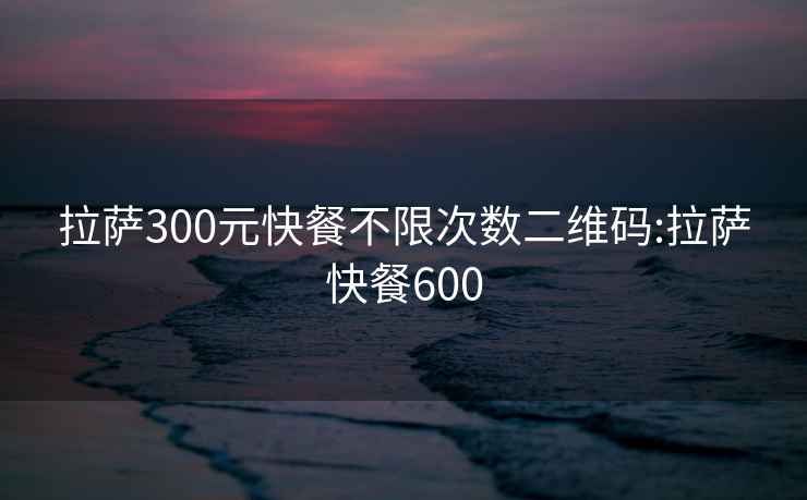 拉萨300元快餐不限次数二维码:拉萨快餐600