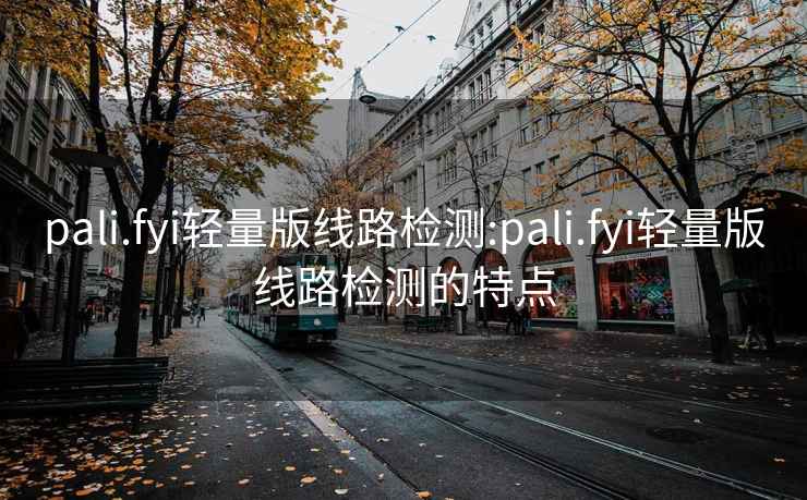 pali.fyi轻量版线路检测:pali.fyi轻量版线路检测的特点