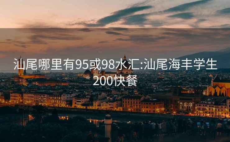 汕尾哪里有95或98水汇:汕尾海丰学生200快餐