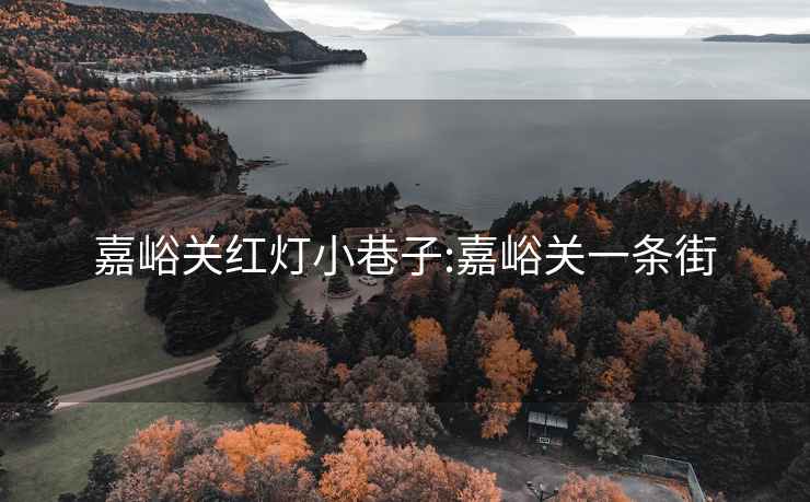 嘉峪关红灯小巷子:嘉峪关一条街