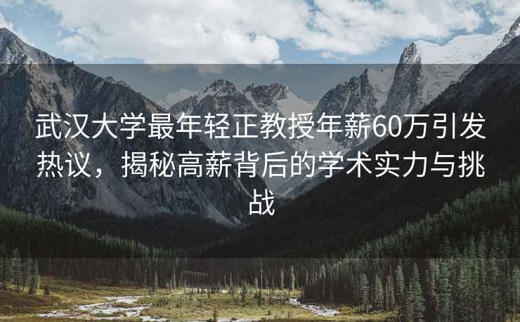 武汉大学最年轻正教授年薪60万引发热议，揭秘高薪背后的学术实力与挑战