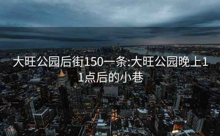 大旺公园后街150一条:大旺公园晚上11点后的小巷