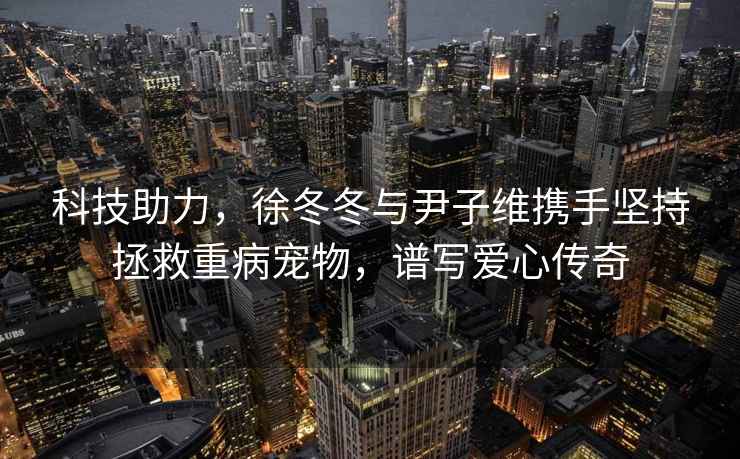 科技助力，徐冬冬与尹子维携手坚持拯救重病宠物，谱写爱心传奇