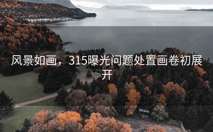 风景如画，315曝光问题处置画卷初展开