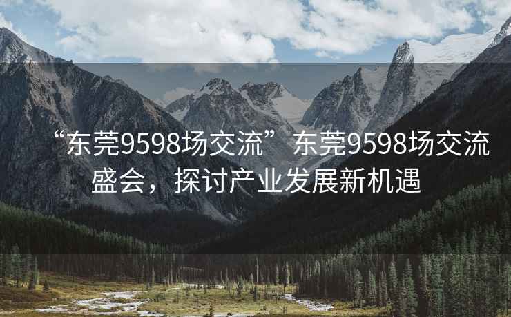 “东莞9598场交流”东莞9598场交流盛会，探讨产业发展新机遇