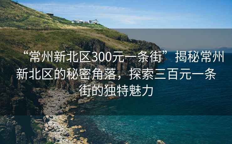 “常州新北区300元一条街”揭秘常州新北区的秘密角落，探索三百元一条街的独特魅力