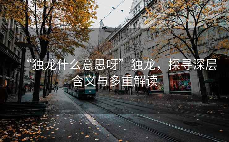 “独龙什么意思呀”独龙，探寻深层含义与多重解读