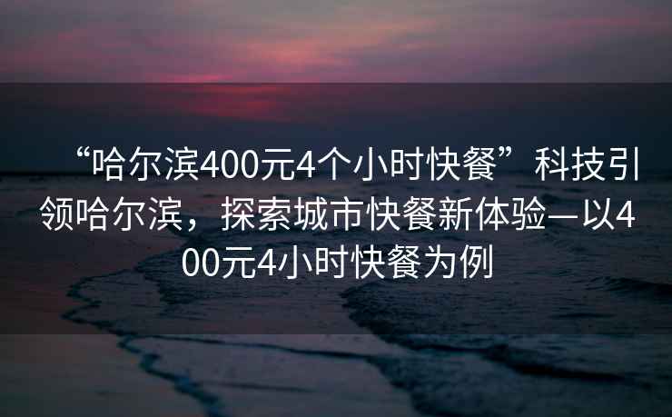 “哈尔滨400元4个小时快餐”科技引领哈尔滨，探索城市快餐新体验—以400元4小时快餐为例