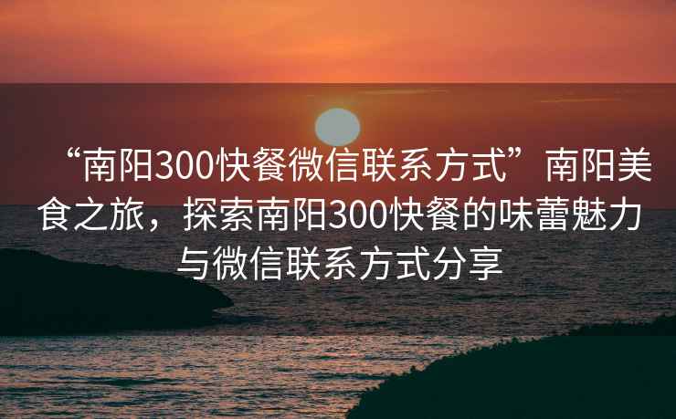 “南阳300快餐微信联系方式”南阳美食之旅，探索南阳300快餐的味蕾魅力与微信联系方式分享