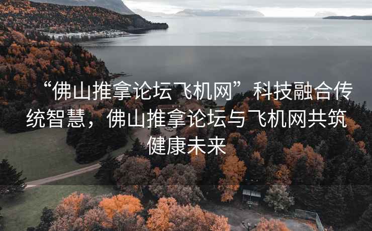 “佛山推拿论坛飞机网”科技融合传统智慧，佛山推拿论坛与飞机网共筑健康未来