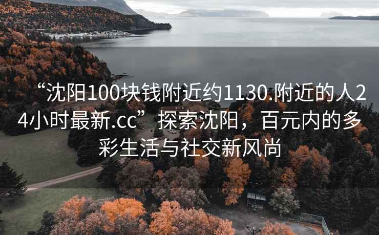 “沈阳100块钱附近约1130.附近的人24小时最新.cc”探索沈阳，百元内的多彩生活与社交新风尚