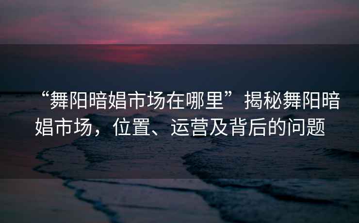 “舞阳暗娼市场在哪里”揭秘舞阳暗娼市场，位置、运营及背后的问题