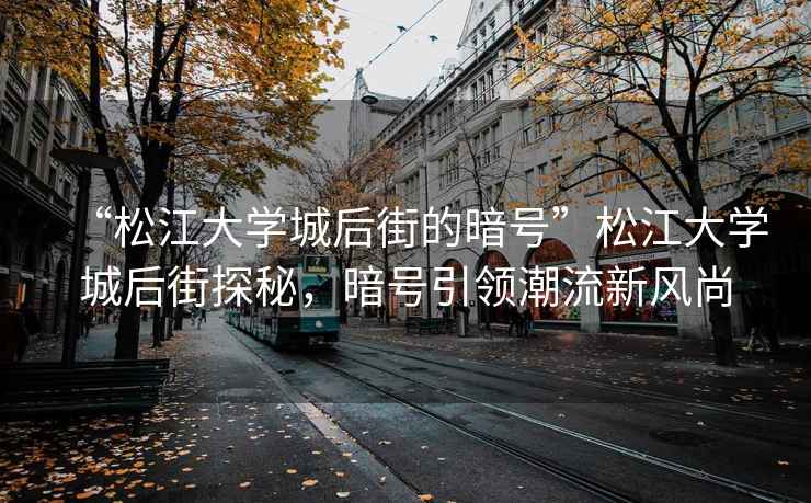 “松江大学城后街的暗号”松江大学城后街探秘，暗号引领潮流新风尚