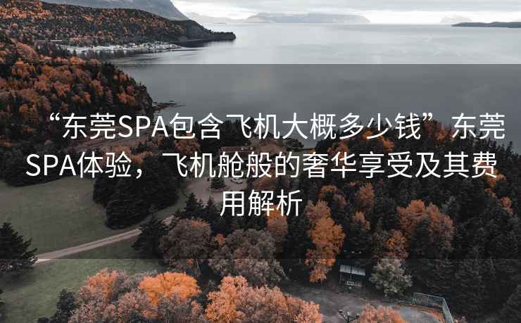 “东莞SPA包含飞机大概多少钱”东莞SPA体验，飞机舱般的奢华享受及其费用解析