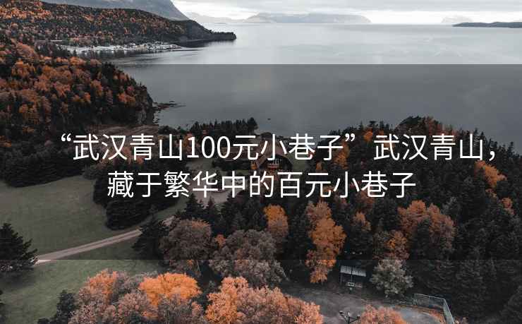 “武汉青山100元小巷子”武汉青山，藏于繁华中的百元小巷子